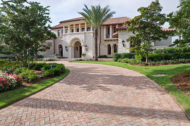 Best Driveway Repair Near Me  in Holloman Af, NM