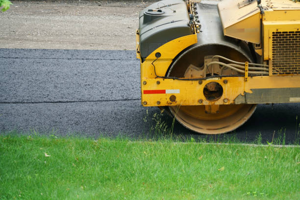 Best Driveway Pavers Near Me  in Holloman Af, NM